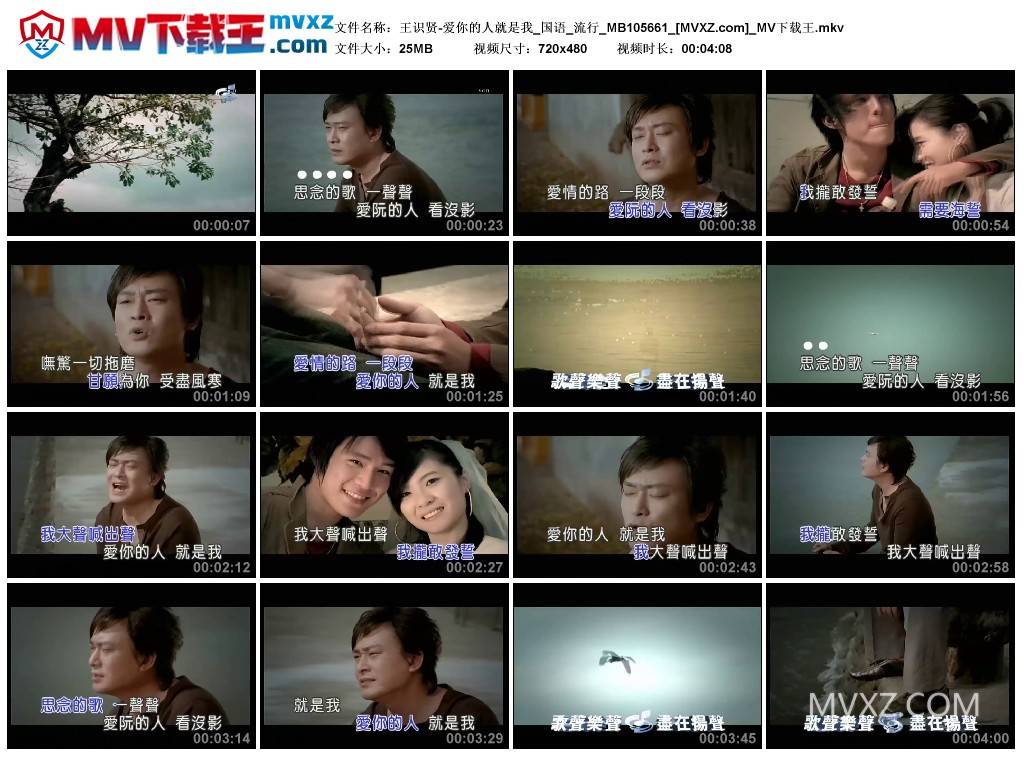 王识贤-爱你的人就是我_国语_流行_MB105661